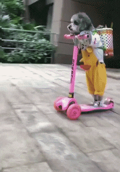 gifs_13.gif