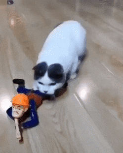 gifs_13.gif