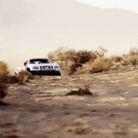 gifs_13.gif