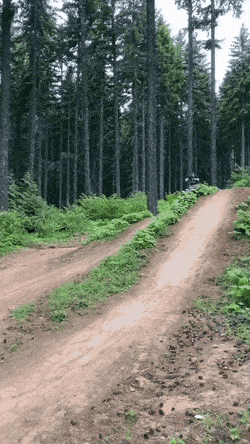 gifs_13.gif