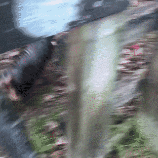 gifs_13.gif