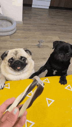 gifs_13.gif