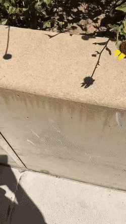 gifs_13.gif