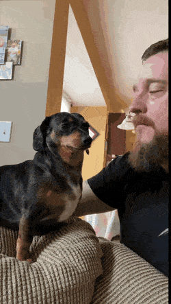 gifs_13.gif