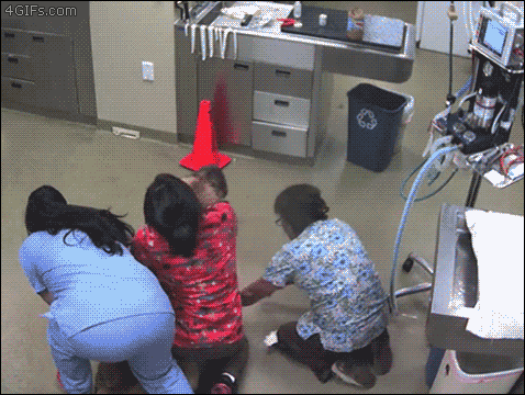 gifs_14.gif
