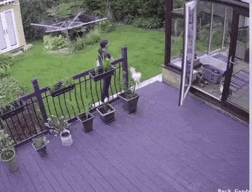 gifs_14.gif
