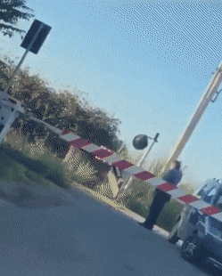 gifs_14.gif