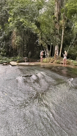 gifs_14.gif