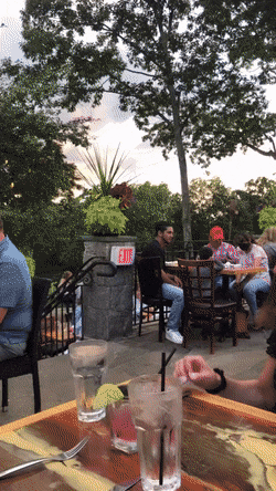 gifs_14.gif