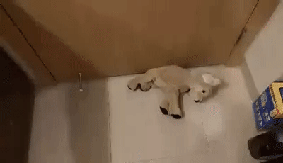 gifs_15.gif
