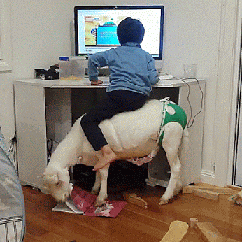 gifs_15.gif