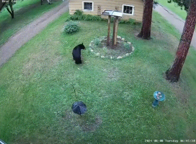 gifs_15.gif