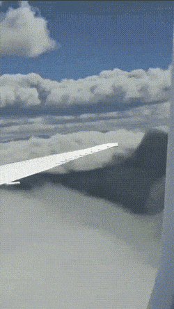 gifs_15.gif