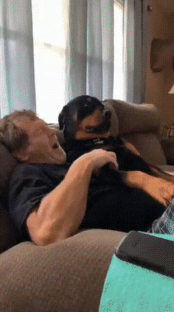 gifs_15.gif