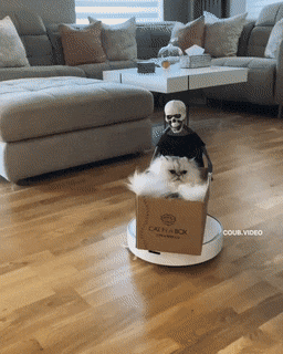 gifs_15.gif