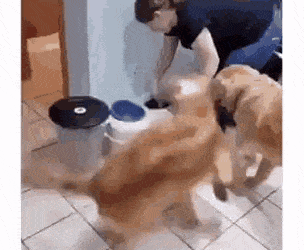 gifs_16.gif