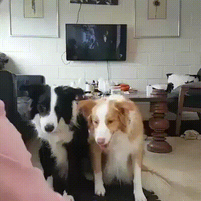 gifs_16.gif