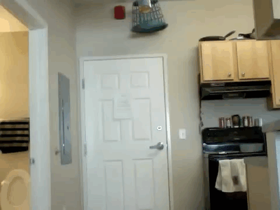 gifs_16.gif