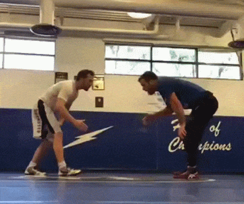 gifs_16.gif