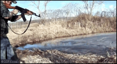 gifs_16.gif