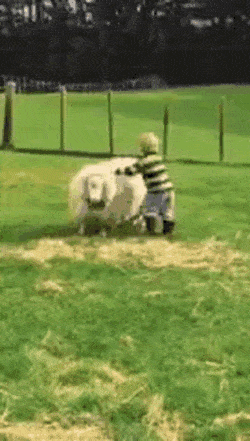 gifs_16.gif
