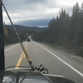 gifs_16.gif