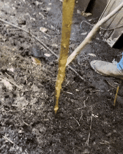 gifs_16.gif