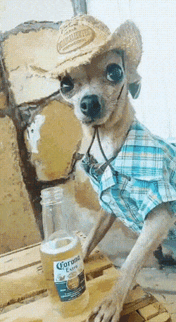 gifs_16.gif