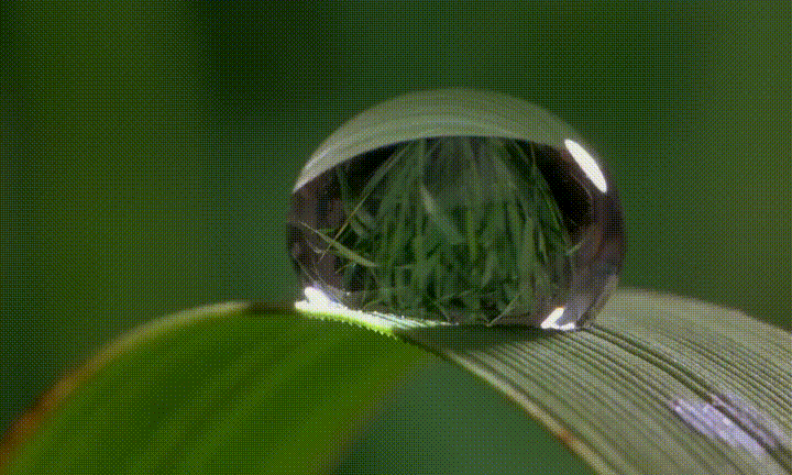 gifs_17.gif