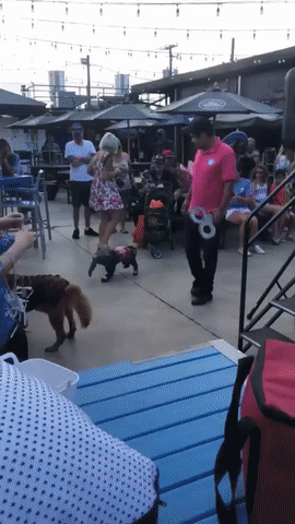 gifs_17.gif