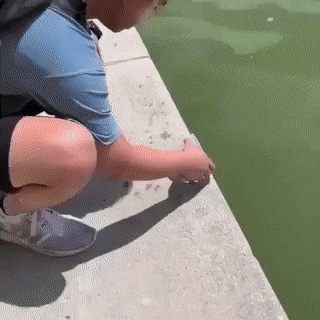 gifs_17.gif