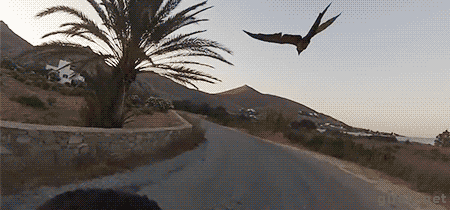 gifs_17.gif