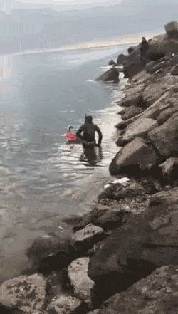 gifs_17.gif