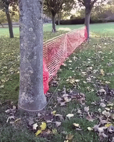 gifs_17.gif