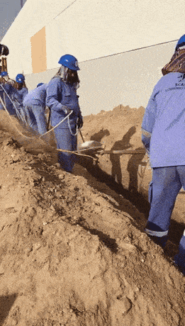 gifs_17.gif