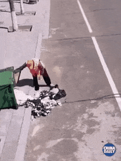 gifs_17.gif