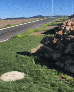 gifs_17.gif