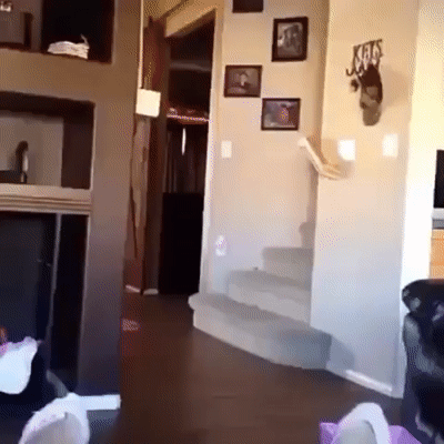 gifs_18.gif