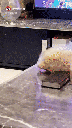 gifs_18.gif