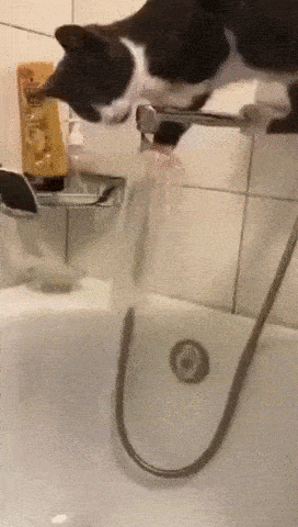 gifs_18.gif