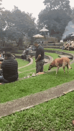 gifs_18.gif