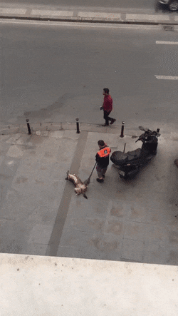 gifs_18.gif