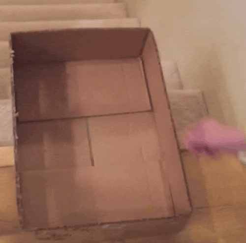 gifs_19.gif