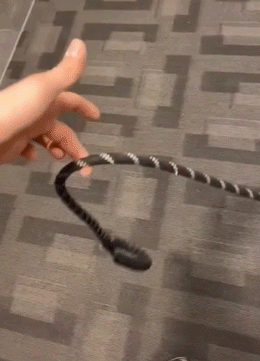 gifs_19.gif
