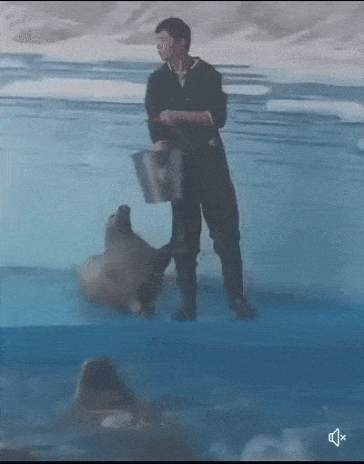 gifs_19.gif
