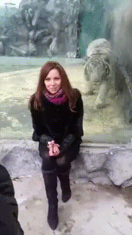 gifs_19.gif