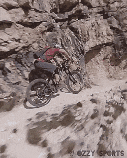 gifs_19.gif