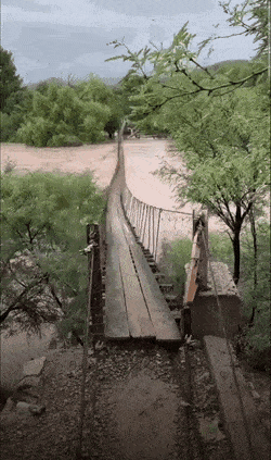 gifs_19.gif