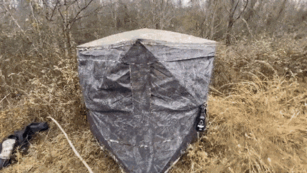 gifs_19.gif