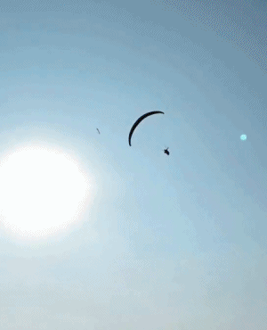 gifs_19.gif